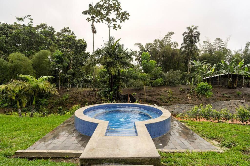 Casa De Ensueno. Pedro Vicente Maldonado. *